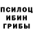 Псилоцибиновые грибы мухоморы TheKost9