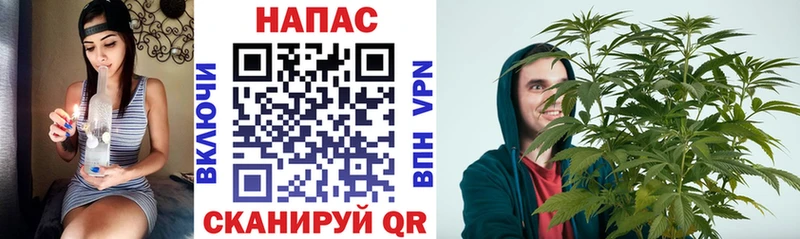 Шишки марихуана AK-47  мориарти наркотические препараты  Красный Холм  мега зеркало 